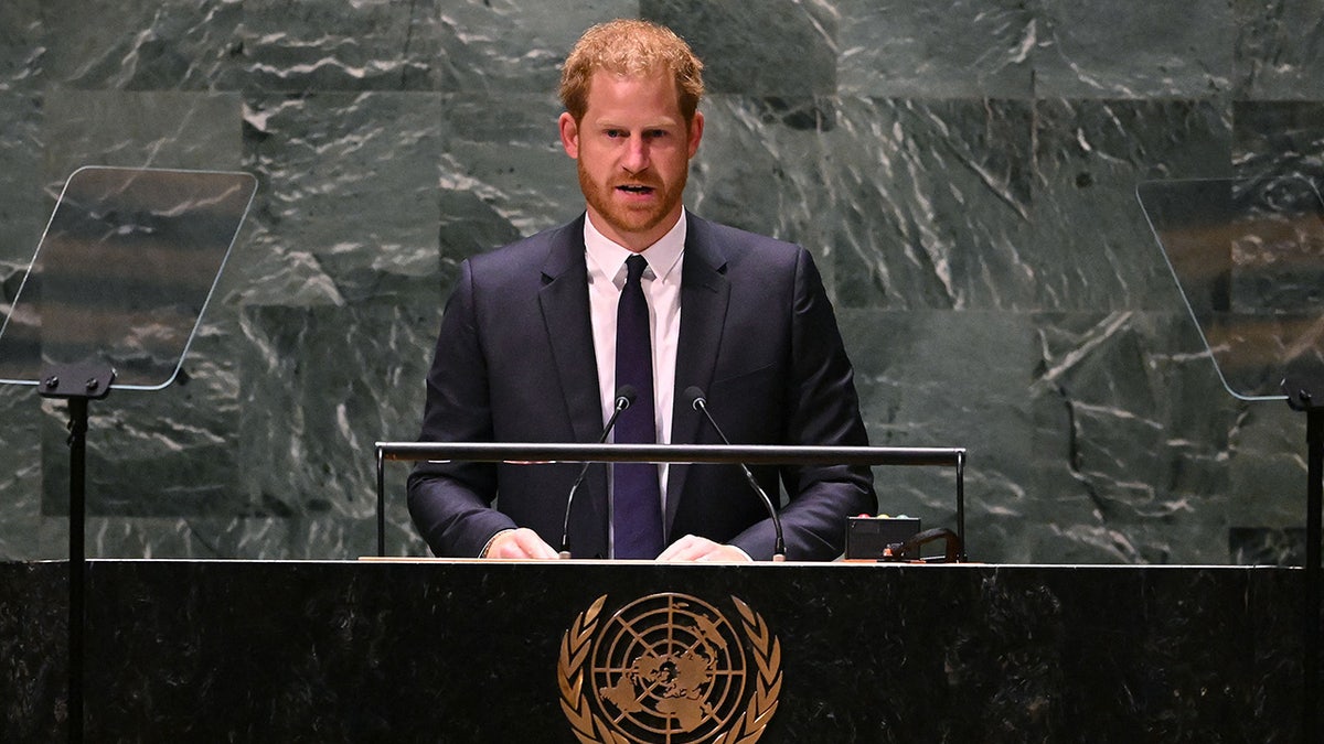 Prince Harry Unites Stars, Politicians in Call for Global Vaccine Unity